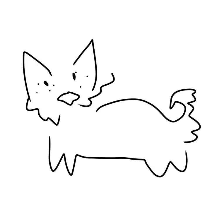 My Dog, Who’s A Pomsky. I Honestly Thought It Would Be Worse.