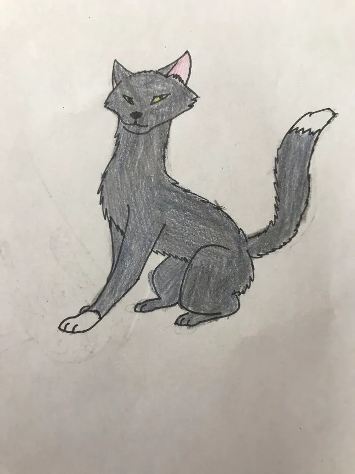 Warriors Oc Stormfeather