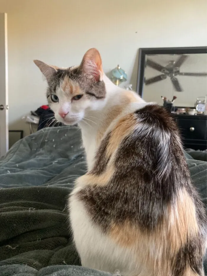 I Love Her Annoyed Face.