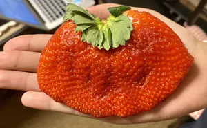 50 Interesting Comparison Images That Will Give You A New Perspective (New Pics)