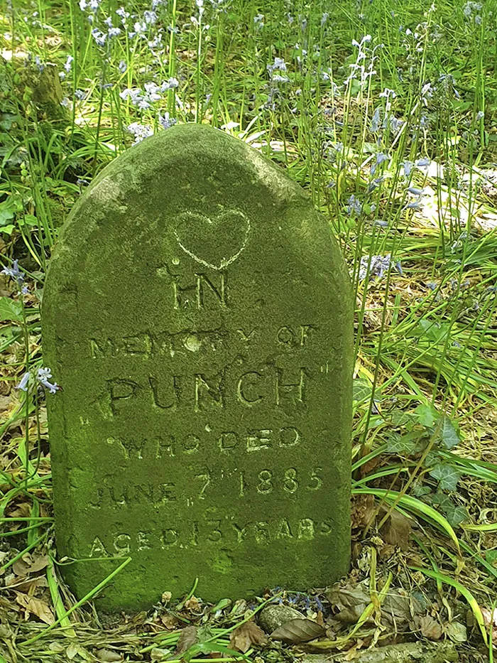 I Found This Gravestone For Someone's Beloved Dog In A Wooded Area Just Outside An Old Cemetary
