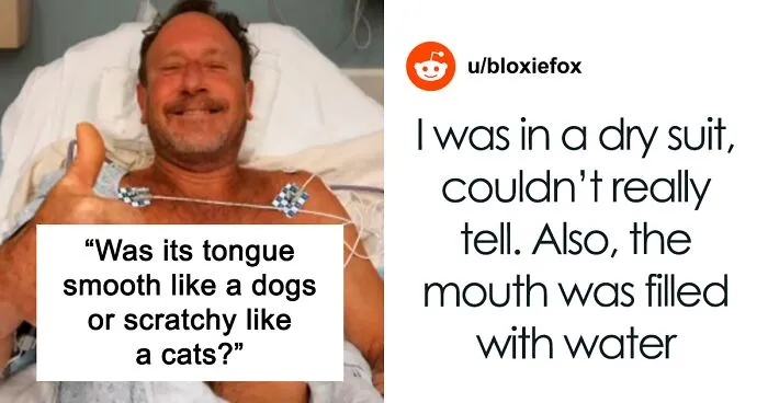 Here Are The 30 Best Answers To Questions That People Asked A Man Who Survived Being Trapped In A Humpback Whale’s Mouth