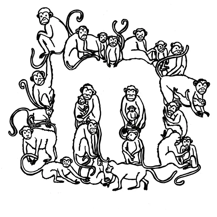 M For Monkey
