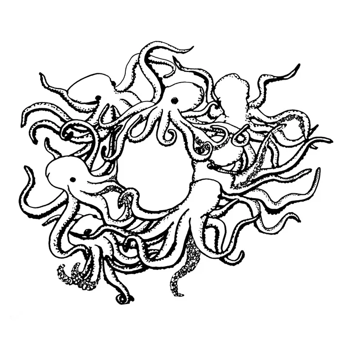 O For Octopus