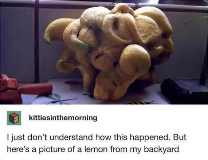 What On Earth Happened