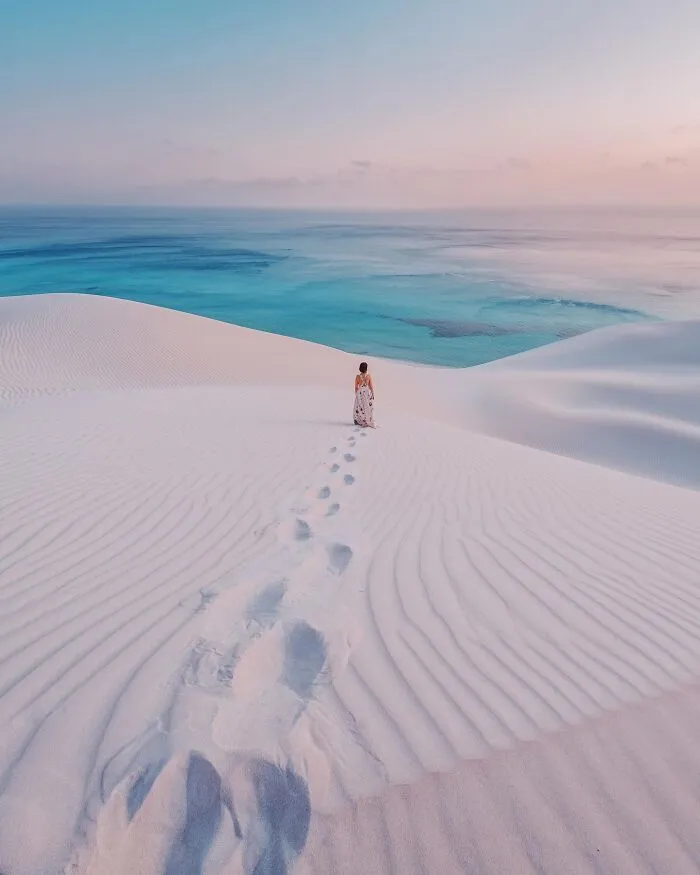 I Explored Socotra Island — A Place Unlike Anywhere Else (30 Pics)