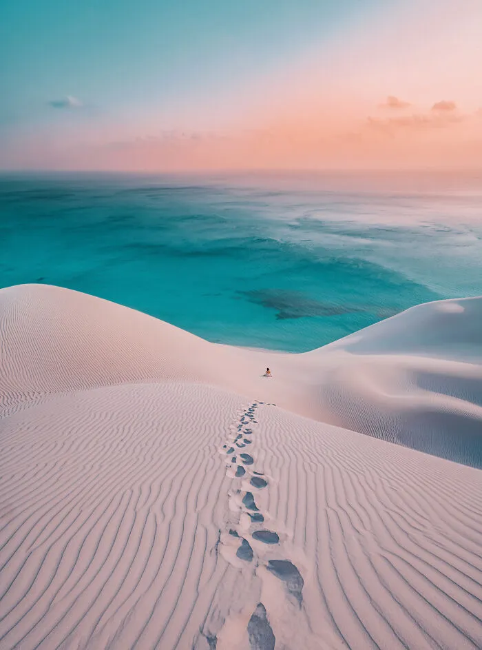 I Explored Socotra Island — A Place Unlike Anywhere Else (30 Pics)