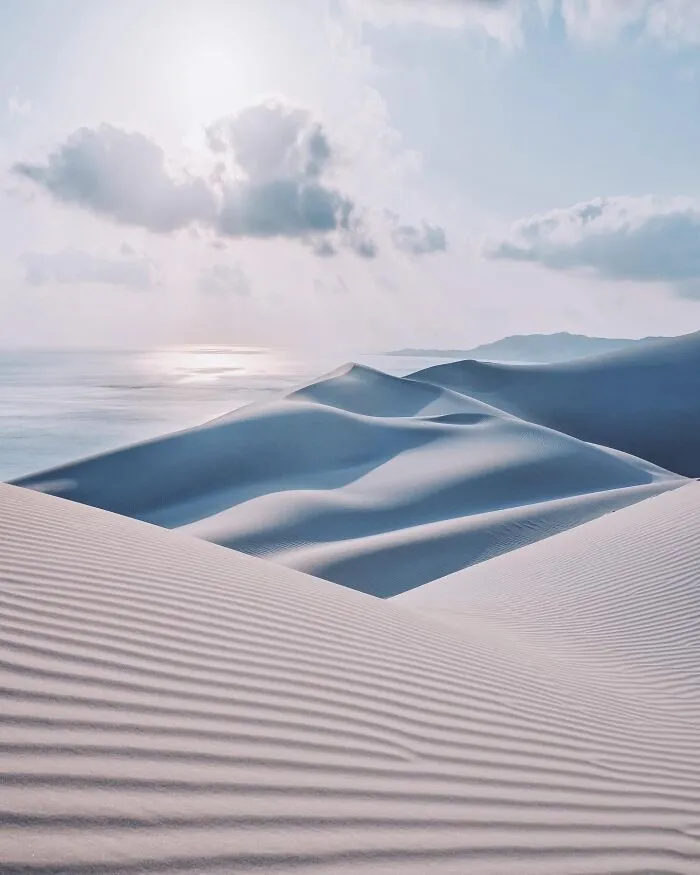 I Explored Socotra Island — A Place Unlike Anywhere Else (30 Pics)