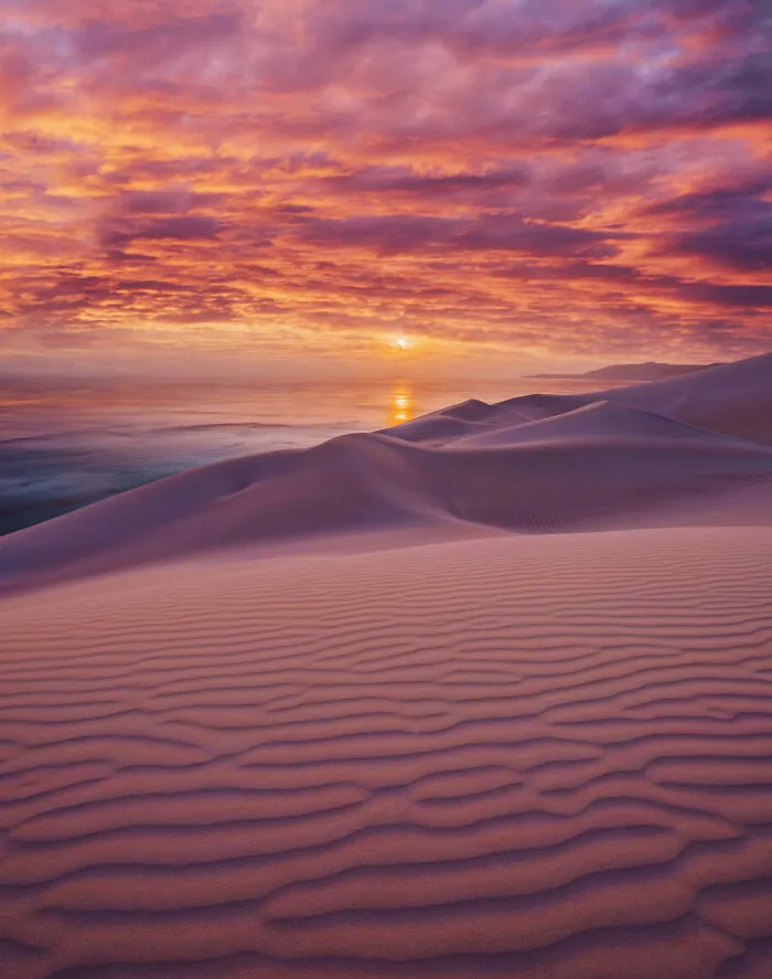 I Explored Socotra Island — A Place Unlike Anywhere Else (30 Pics)
