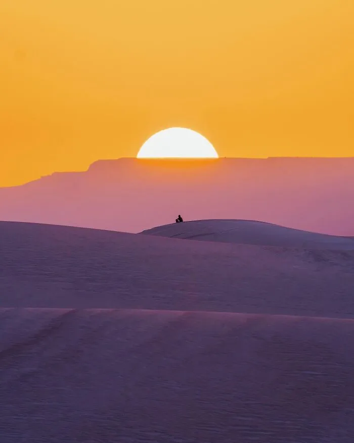 I Explored Socotra Island — A Place Unlike Anywhere Else (30 Pics)