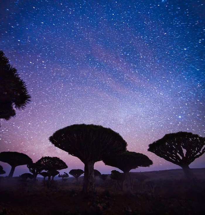 I Explored Socotra Island — A Place Unlike Anywhere Else (30 Pics)