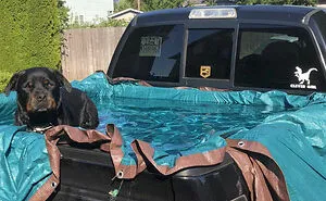 Extreme Heatwave Is Sizzling The US And Canada And Here Are 31 Pics To Show How Insane It Is