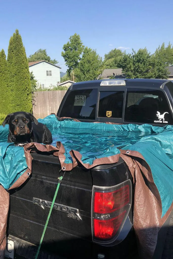 ¡¡¡¡Papá me hizo una piscina para vencer al calor!!!!