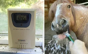 Extreme Heatwave Is Sizzling The US And Canada And Here Are 31 Pics To Show How Insane It Is