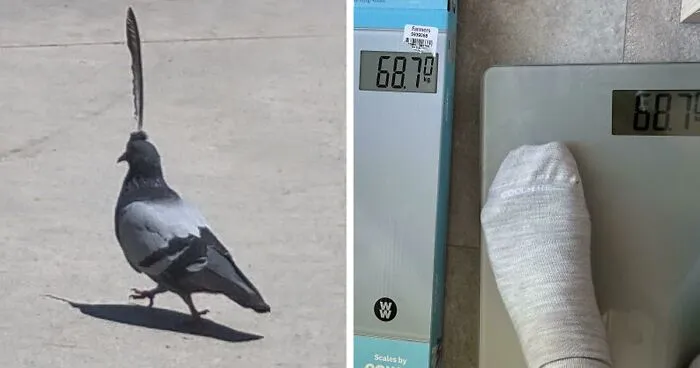 This Online Group Is Dedicated To 'Mildly Interesting' Stuff, And Here Are Their 50 Best Posts (New Pics)