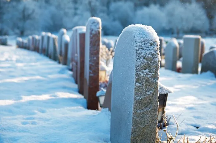 Person Invites People To Share The Saddest Facts They Know And Boy, Do They Deliver (40 Pics)
