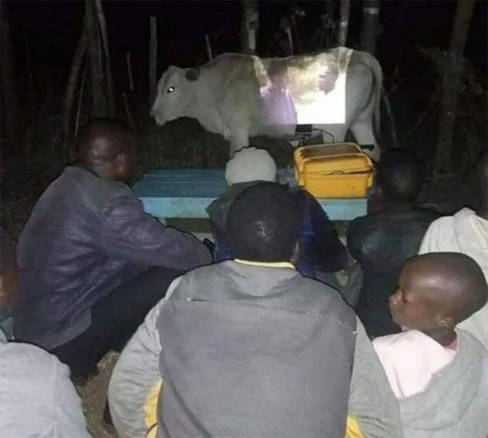 45 People Who Kept Their Cool In A Rather Unusual Situation