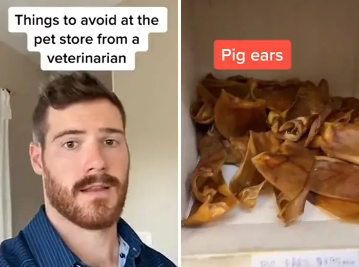 30 Useful And Lesser-Known Pet Care Tips By This Vet