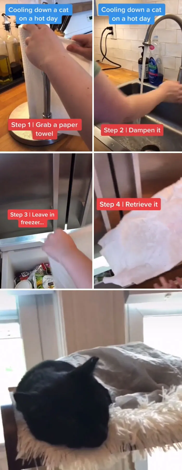 30 Useful And Lesser-Known Pet Care Tips By This Vet