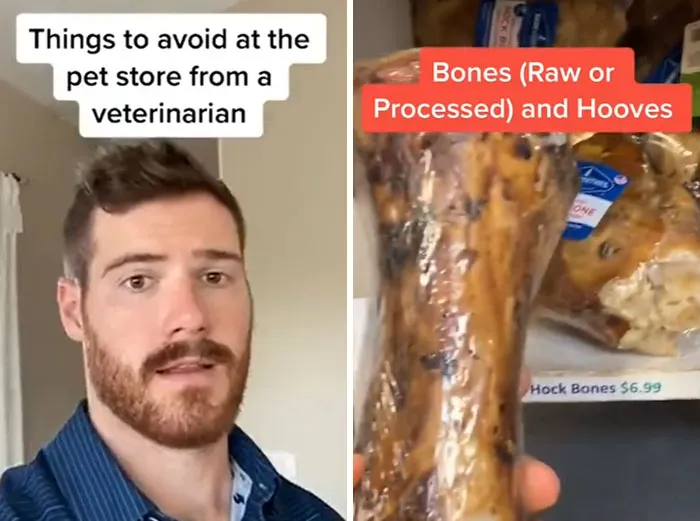 30 Useful And Lesser-Known Pet Care Tips By This Vet