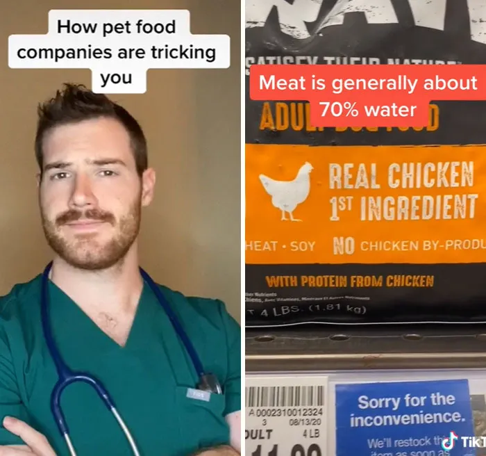 30 Useful And Lesser-Known Pet Care Tips By This Vet
