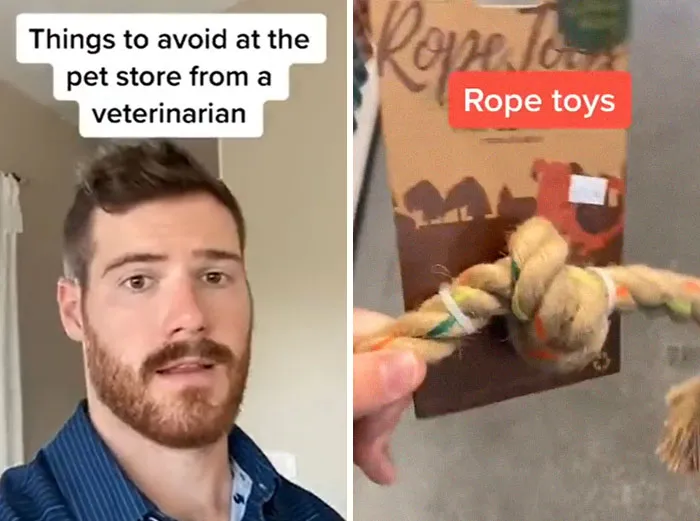 30 Useful And Lesser-Known Pet Care Tips By This Vet