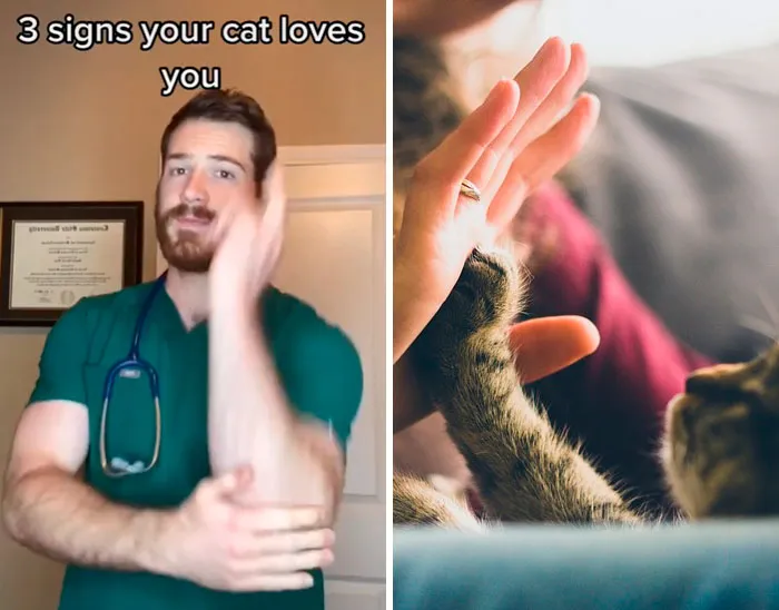 30 Useful And Lesser-Known Pet Care Tips By This Vet