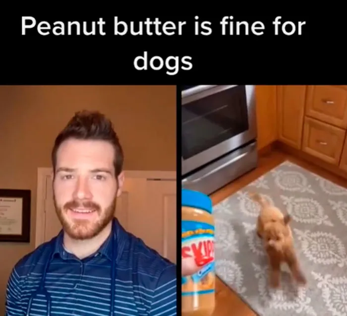 Pet-Care-Tips-Vet-Hunter-Finn-Tiktok