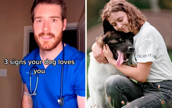 30 Useful And Lesser-Known Pet Care Tips By This Vet