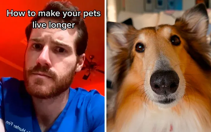 30 Useful And Lesser-Known Pet Care Tips By This Vet