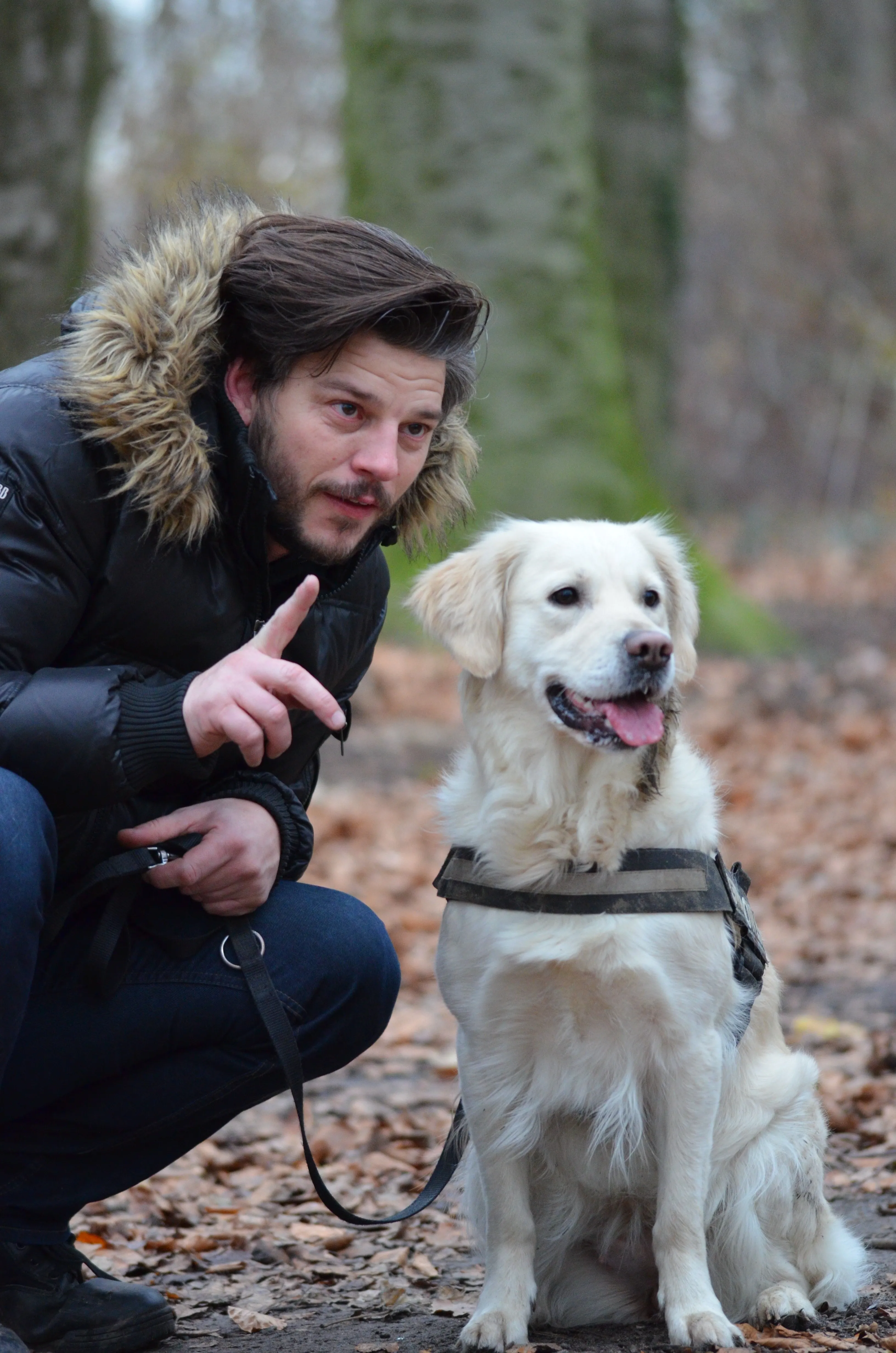 5 Simple Ways To Get Your Dog To Pay Attention