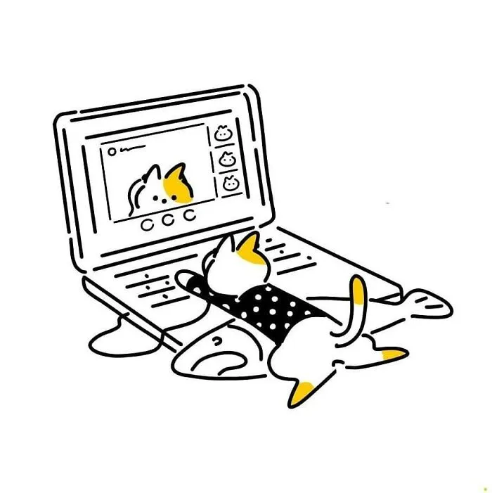 Pj Mode