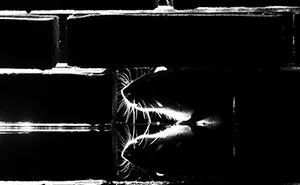 To Change People’s Negative Perceptions Of Rats, I Started Photographing Them In A Nice Way (19 Pics)