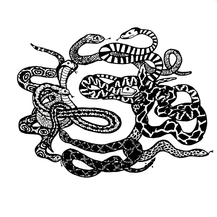 S For Snake