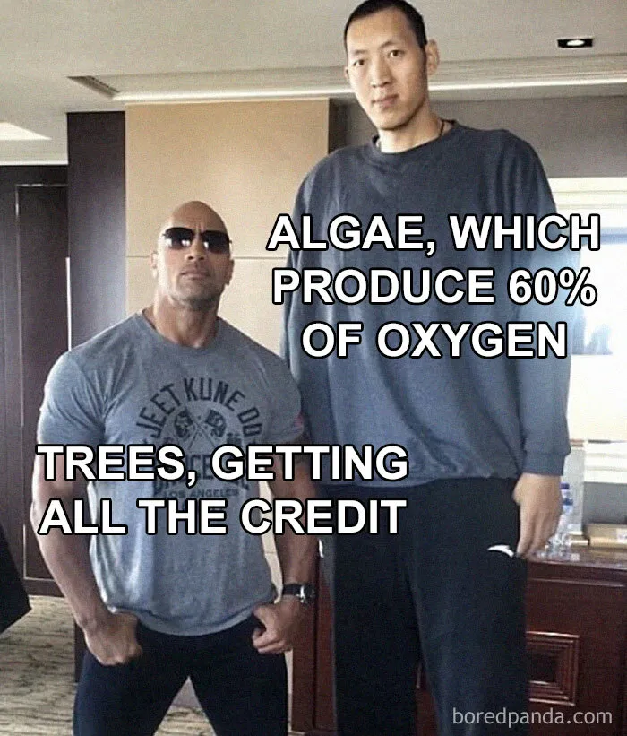 50 Of The Most Clever Science Memes That Perfectly Blend Humor With Knowledge
