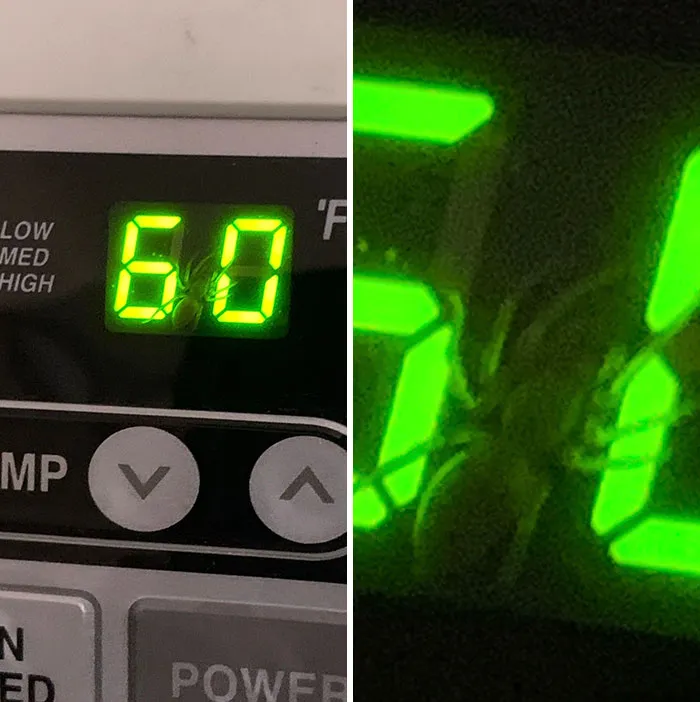 There’s A Spider In My AC