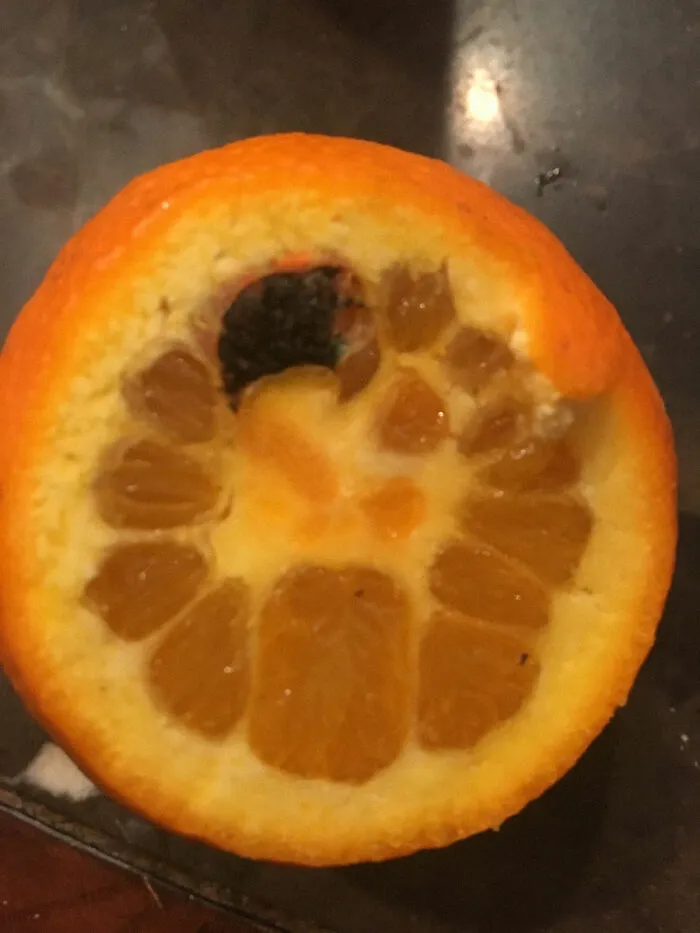 Found A Dead Spider Inside My Orange