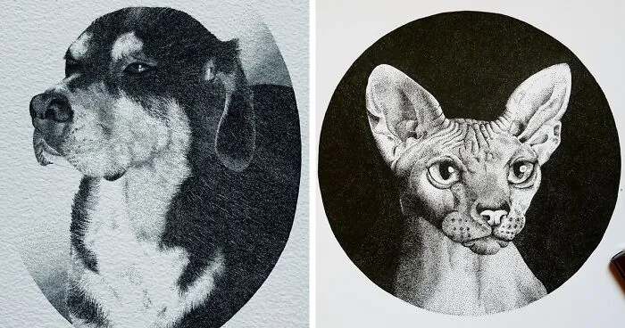 My 30 Stippling Drawings That Are Composed Of Millions Of Dots