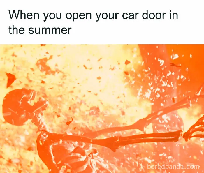 35 Of The Funniest Memes To Kick Off Your Summer