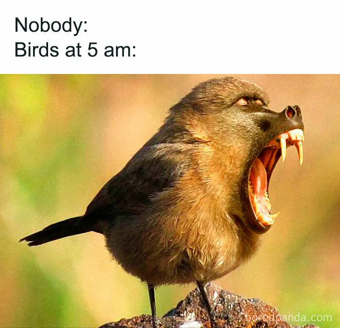 35 Of The Funniest Memes To Kick Off Your Summer