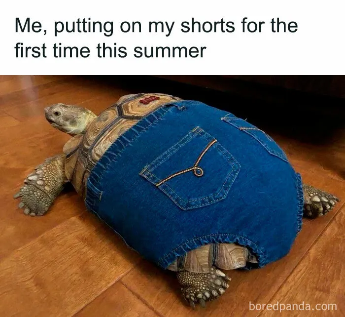 35 Of The Funniest Memes To Kick Off Your Summer