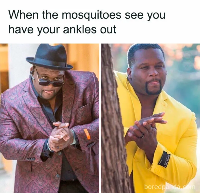 35 Of The Funniest Memes To Kick Off Your Summer