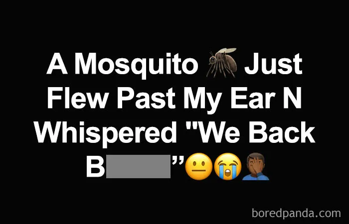 35 Of The Funniest Memes To Kick Off Your Summer