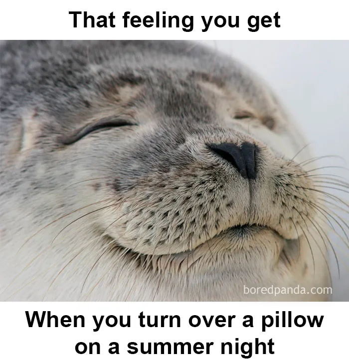 35 Of The Funniest Memes To Kick Off Your Summer