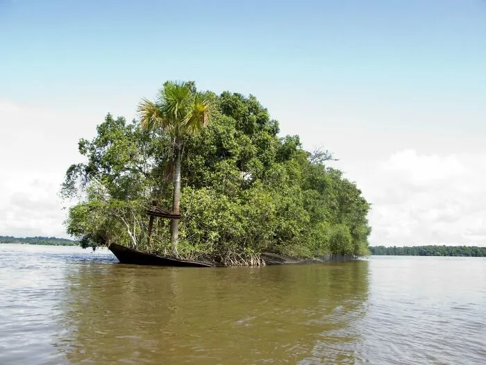 This Used To Be A Boat, Now It’s A Island
