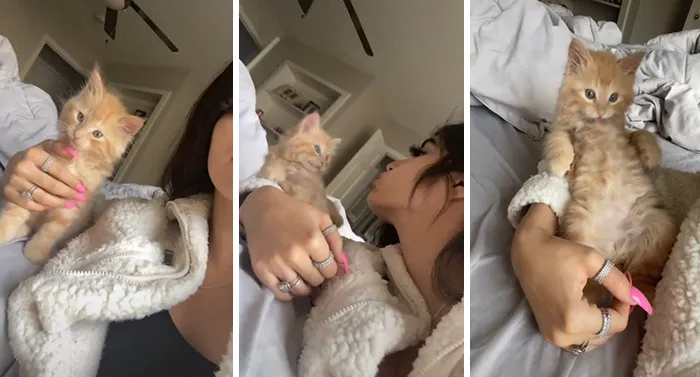 Owners Wanted To See The Reactions Of Their Pets After They Get Unexpected Kisses (45 Pics)