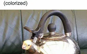 50 Of The Best Bird Memes Posted Online