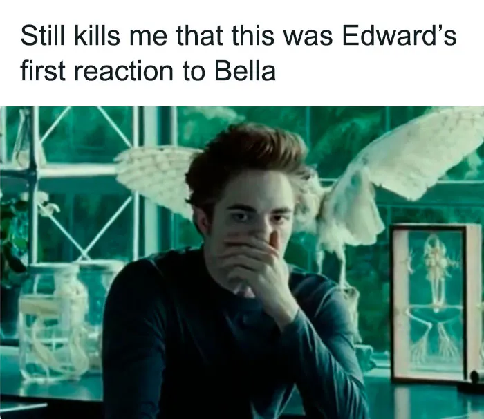 People Are Re-Watching The 'Twilight Saga' And Realizing How Crazy It Was, Here're 40 Hilarious Memes About It