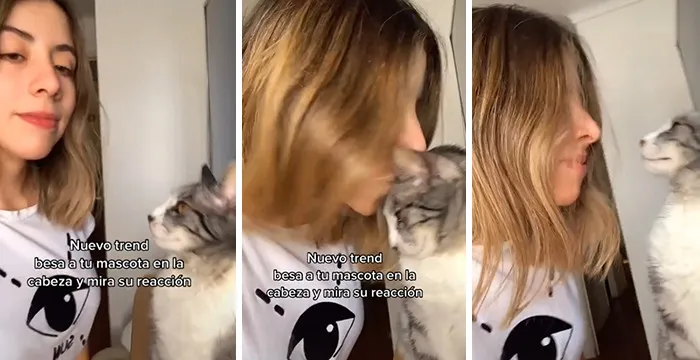 Owners Wanted To See The Reactions Of Their Pets After They Get Unexpected Kisses (45 Pics)