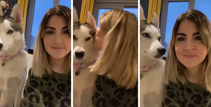 Owners Wanted To See The Reactions Of Their Pets After They Get Unexpected Kisses (45 Pics)